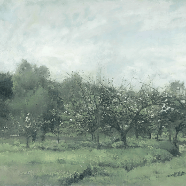 Orchard - Dois Daubigny